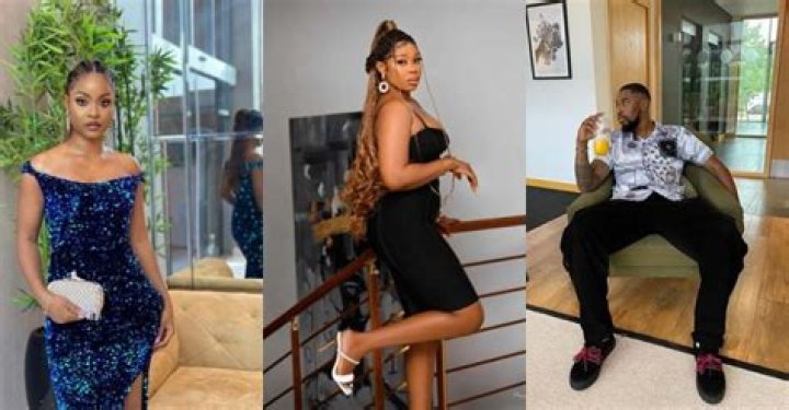 
Bella and Sheggz get a strike each, Racheal receives warning from Big Brother 