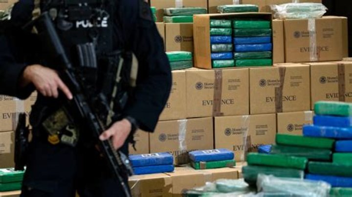 
Goran Gogic Arrest: What Did He Do? Trafficking And Charges Details 