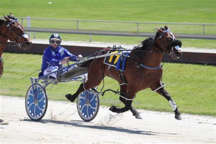 Harness Racing’s Power Couple Mark Purdon and Natalie Rasmussen Age Difference