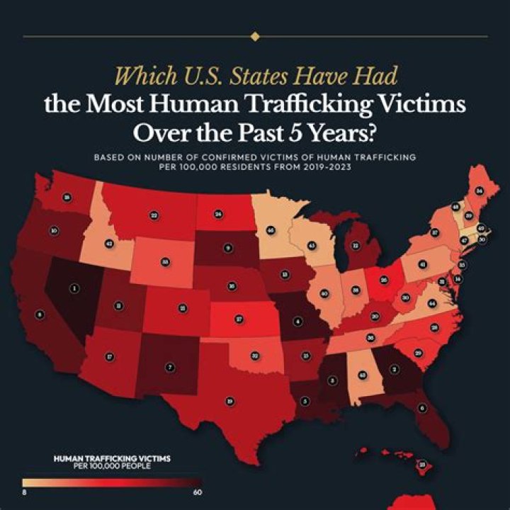 
Is Rob Solomon Arrested Over Human Trafficking? 